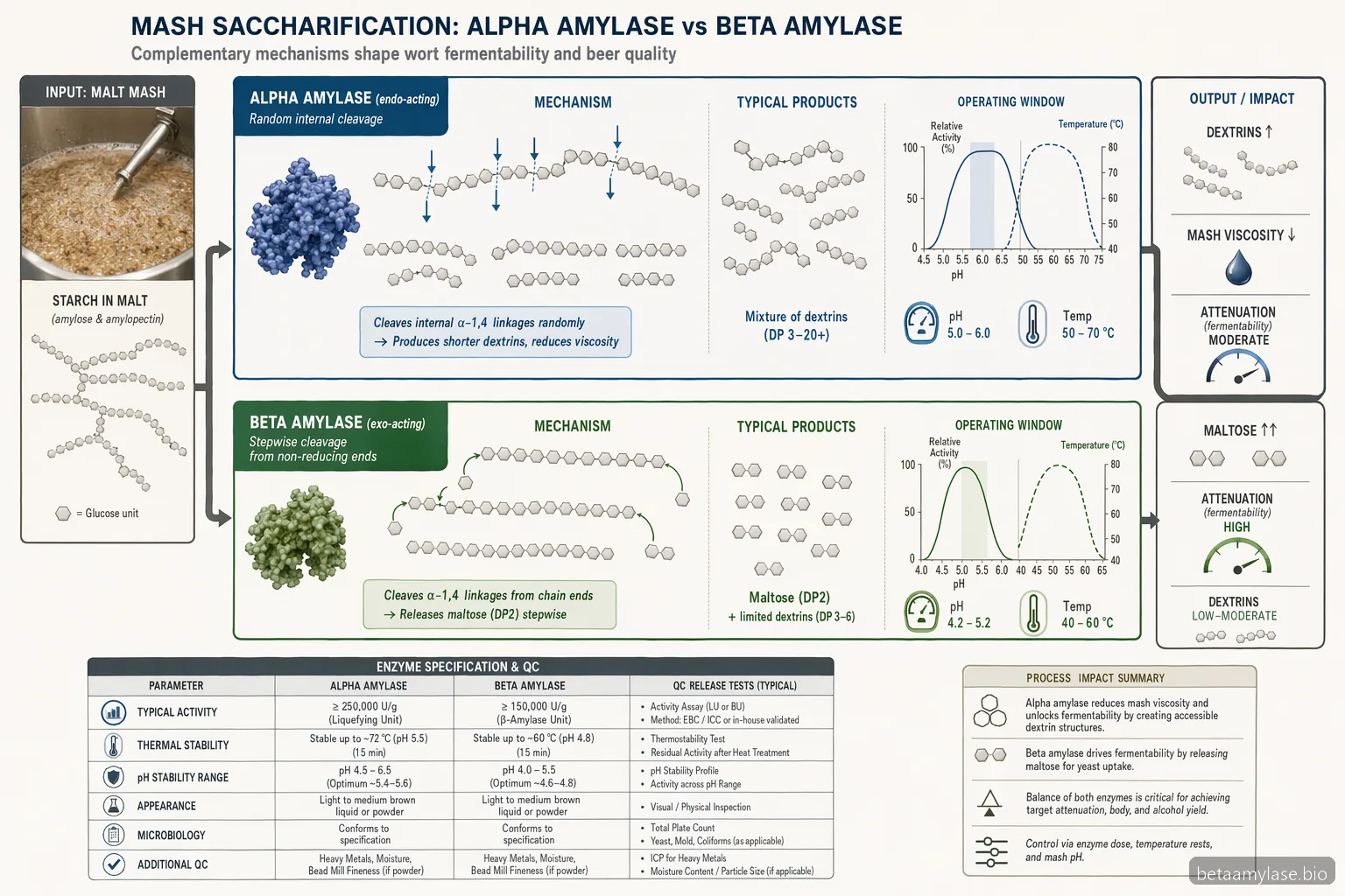 alpha amylase vs beta amylase brewing buyer guide: starch conversion diagram compares dextrins, maltose, pH, and temperature