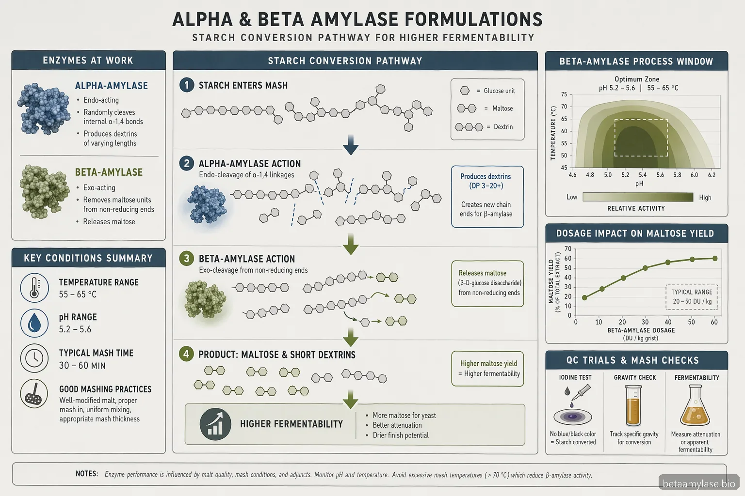 alpha- en beta-amylase brouwen, procesdiagram met beta-amylase temperatuur, pH-bereik, dosering en maltosevrijgave