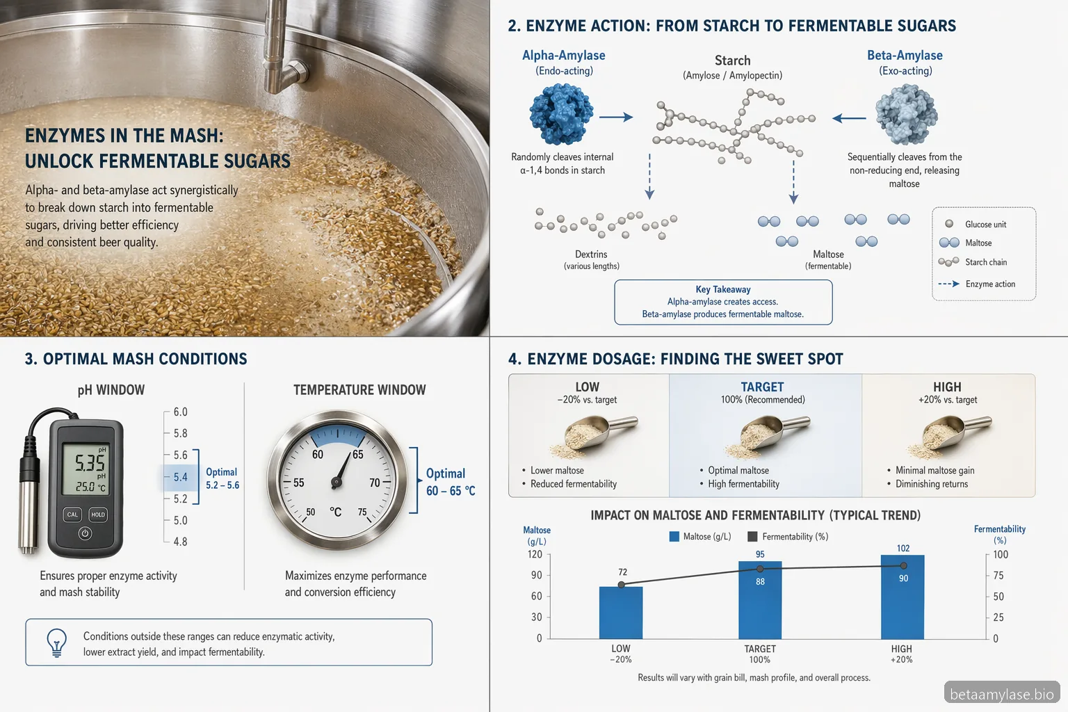 Guide för alpha- och beta-amylase i bryggning med maltosutbyte, jäsbarhet, mäsk-pH, temperatur och doseringssignaler