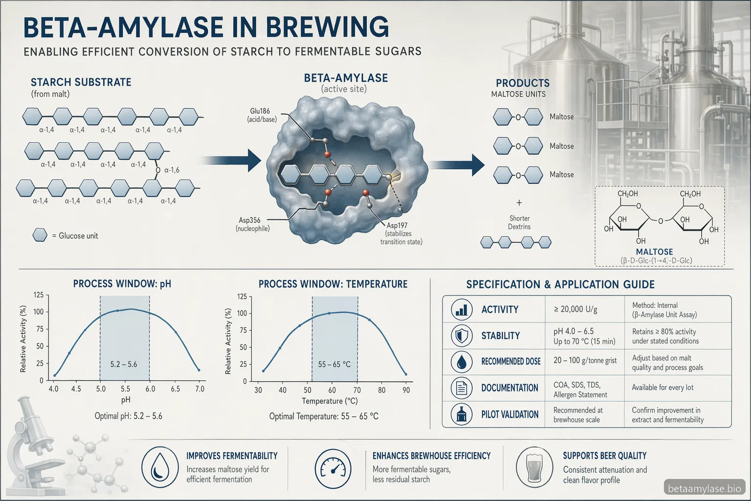 beta amylase brewing process diagram with starch-to-maltose reaction, pH and temperature operating windows